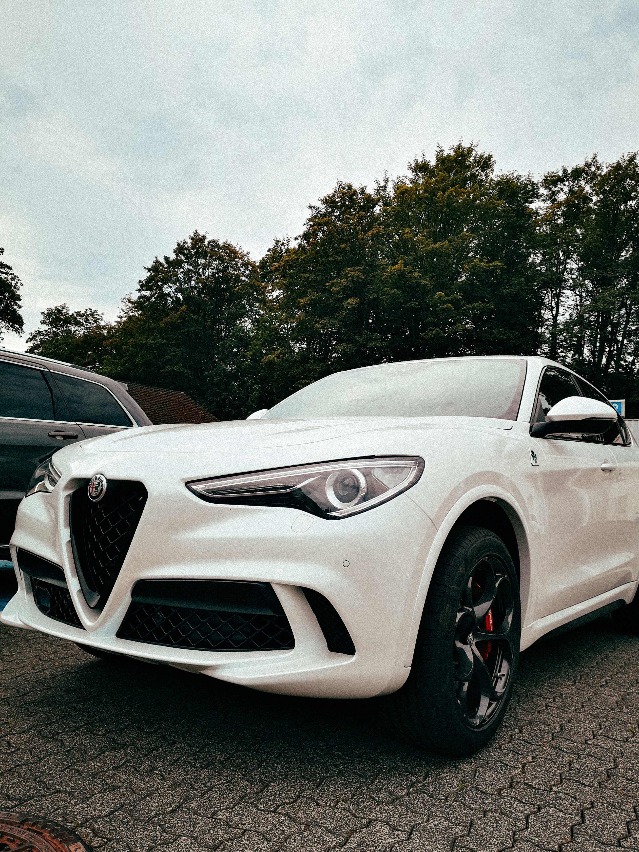 XLUMIO Auto-Mülleimer für Alfa Romeo Giulia Giulietta 159 156 MITO Stelvio  147 Sportiva, hängender wasserdichter Auto-Mülleimer, Auto-Mülleimer mit