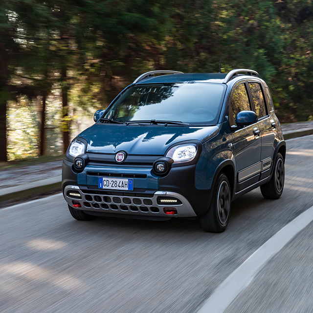 Fiat Panda bei Lauer und Süwer Automobile